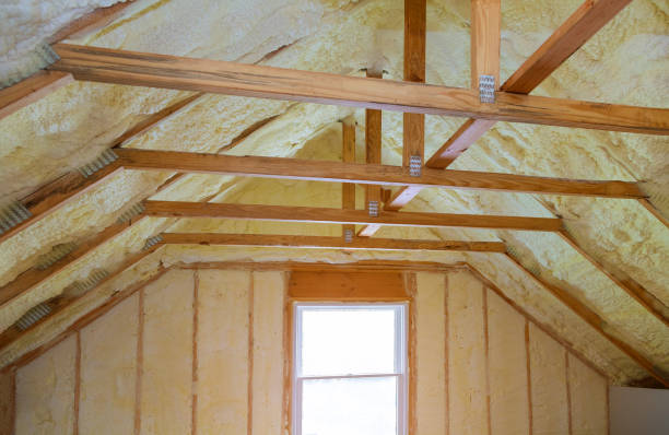 Best Professional Insulation Contractor  in Conesus Lake, NY