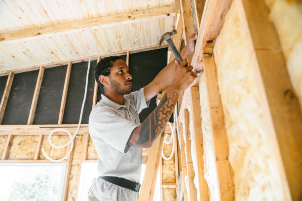 Best Home Insulation Services  in Conesus Lake, NY